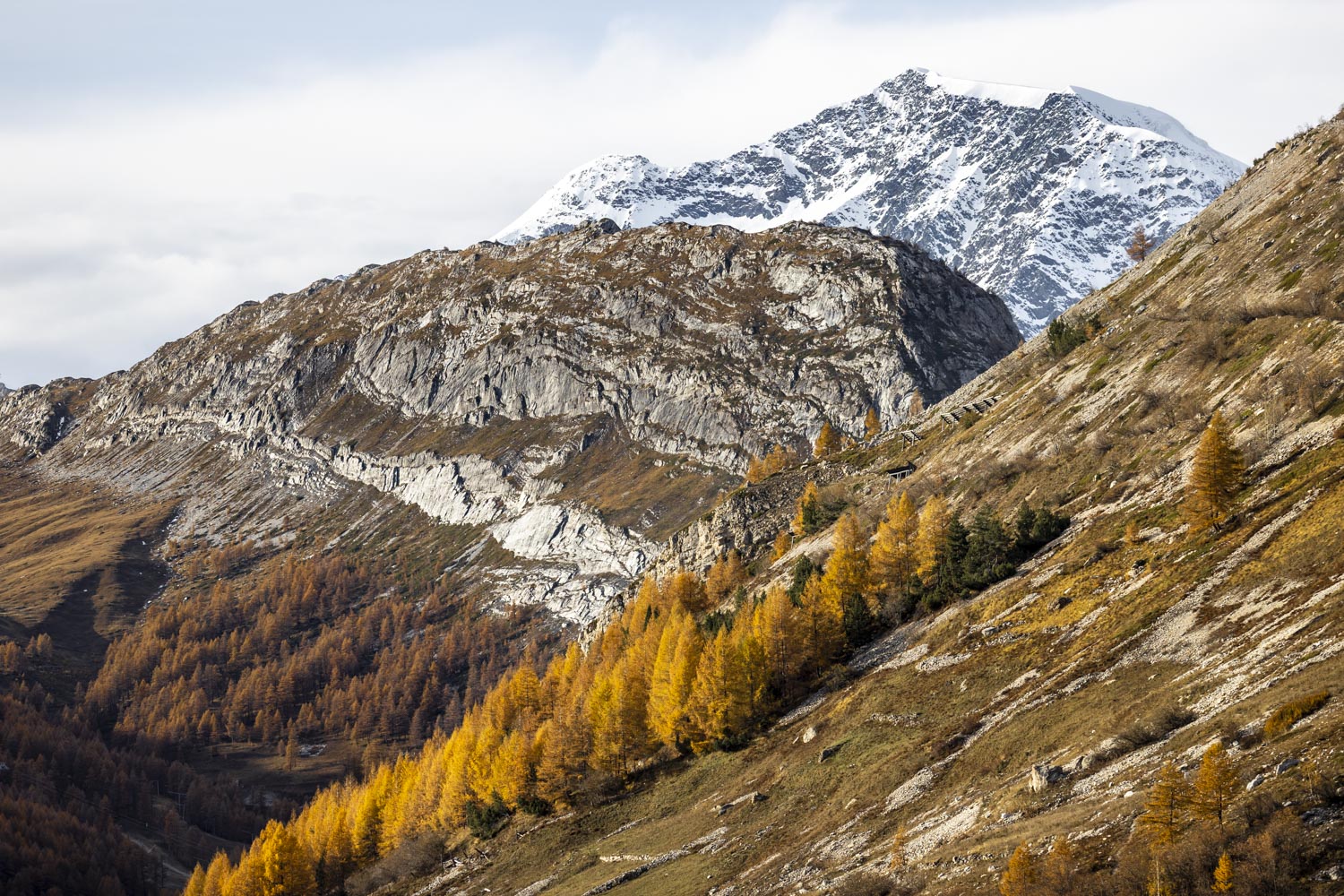 Couleurs d'automne - Dome de la Sache - Mont Pourri - Photo de Val d'IsÃ¨re