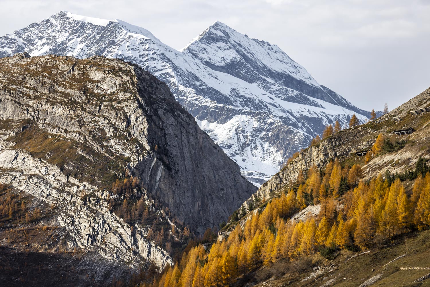 Couleurs d'automne - Dome de la Sache - Mont Pourri - Photo de Val d'IsÃ¨re