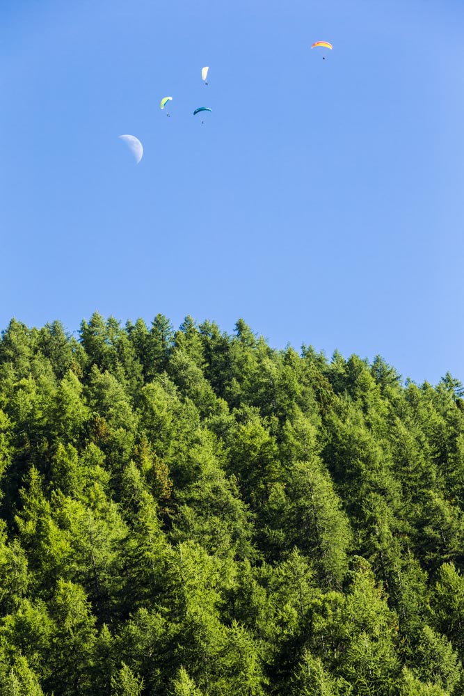 Parapentes - Lune - FÃ´ret de Solaise - MÃ©lÃ¨ze - Photo de Val d'IsÃ¨re