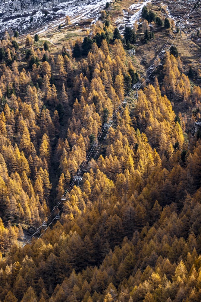 Laisinant Chairlift - Fall Colors - Larch Trees - Val d'IsÃ¨re